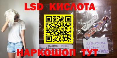 винт Новодвинск