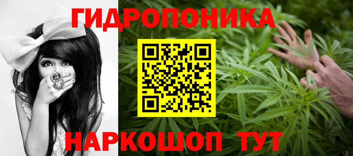 Канабис Amnesia  Канабис тримм  Конопля Ganja  Вход с VPN  Подольск 